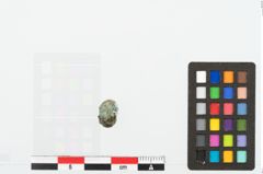 Foto von Bronzeperle (NHMW-PRAE-078067)